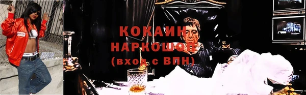твердый Арсеньев
