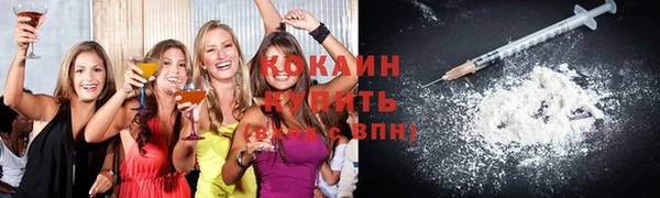 дживик Аркадак