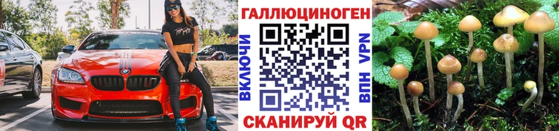 Галлюциногенные грибы MAGIC MUSHROOMS Велиж