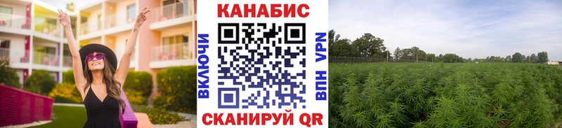 сколько стоит  Велиж  MEGA как войти  Канабис Ganja 
